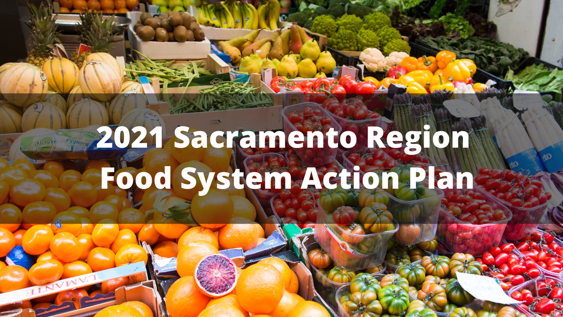 2021 Sacramento Region Food System Action Plan